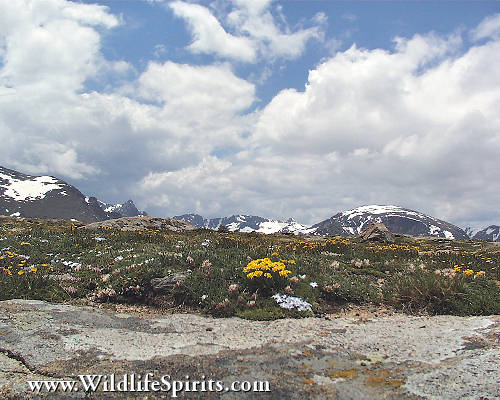Click Picture to send as an  E-PostCard 54k 500x400